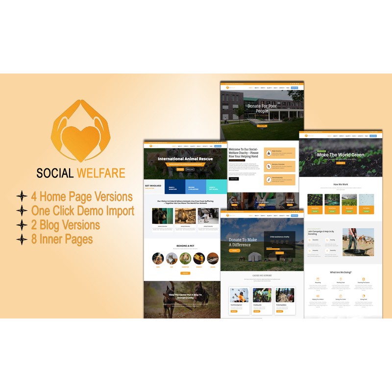 Social Welfare: Non-Profit Divi Charity WordPress Theme