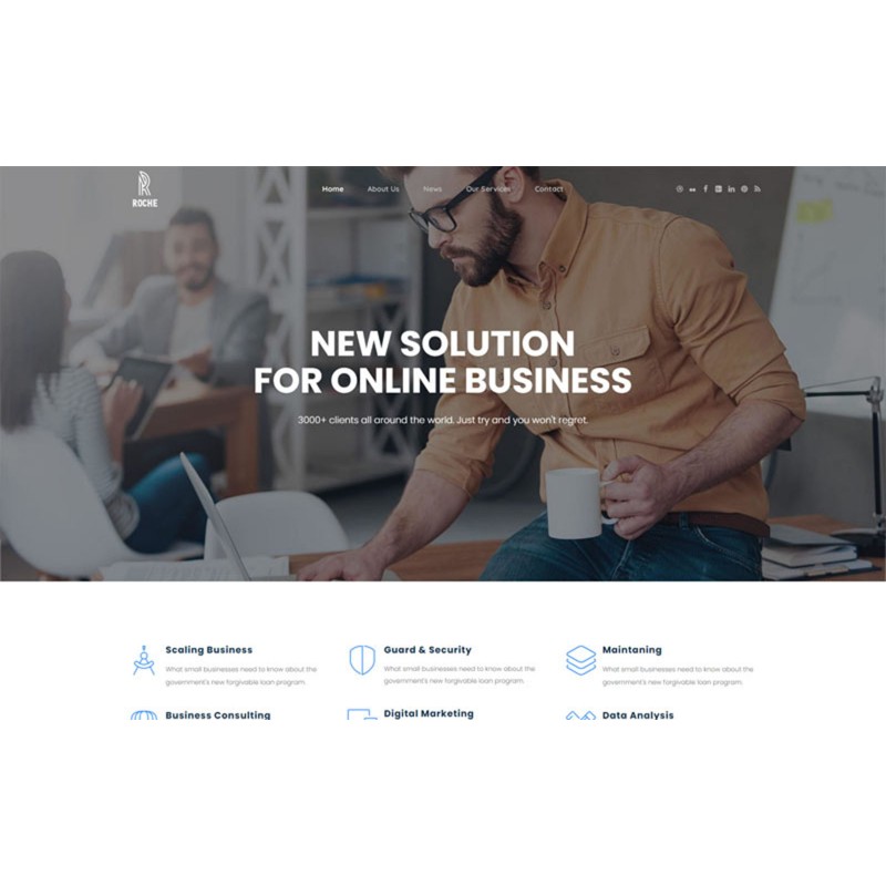 Roche - Business Consulting WordPress Theme
