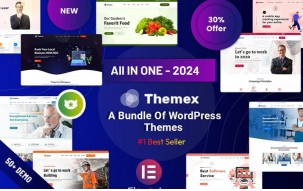 Themex - Multi-Purpose Responsive WordPress Theme