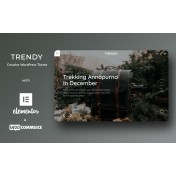 Trendy - Creative Fashion Handbag WordPress Theme