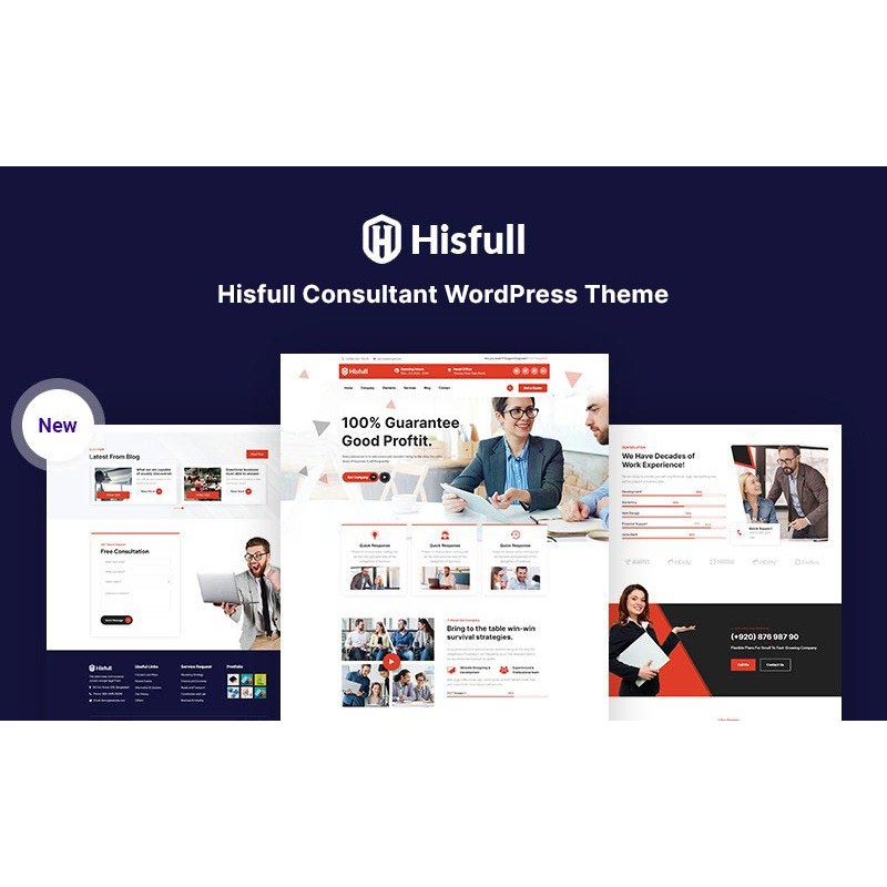 Hisfull - Consultant Responsive WordPress Theme