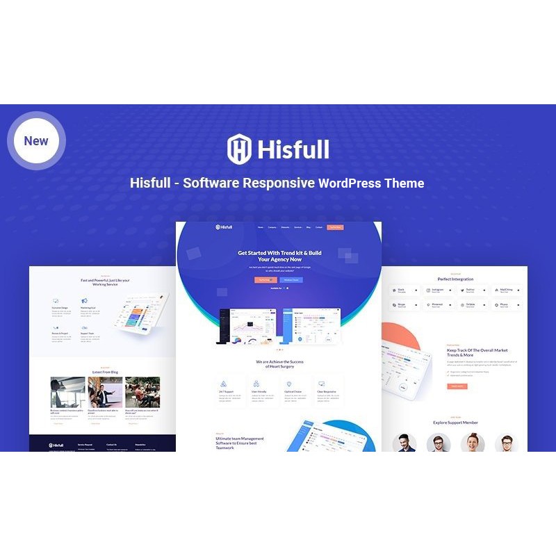 Hisfull - Software Responsive WordPress Theme