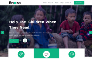 Enora - Charity and Nonprofit WordPress Theme