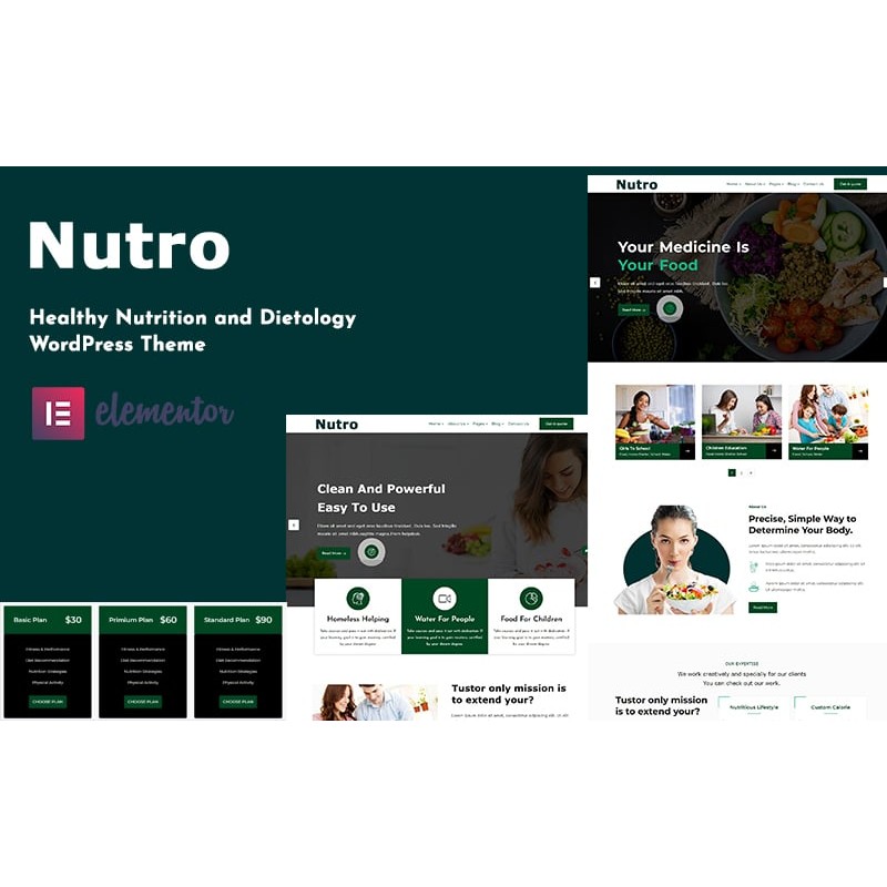 Nutro - Nutrition Health Services WordPress Theme