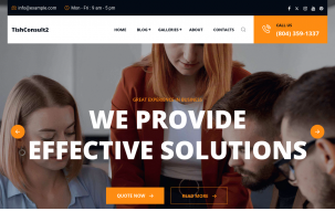 TishConsult2 - Business and Consulting WordPress Theme