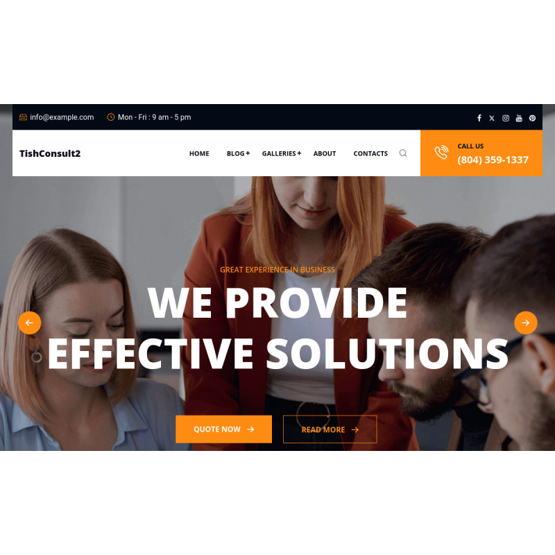 TishConsult2 - Business and Consulting WordPress Theme