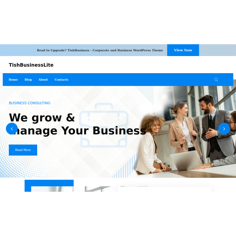 TishBusinessLite - Free Corporate and Business WordPress Theme
