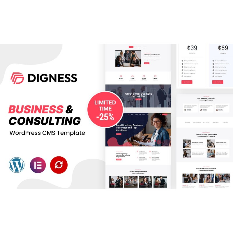Digness - Consulting Business WordPress Theme