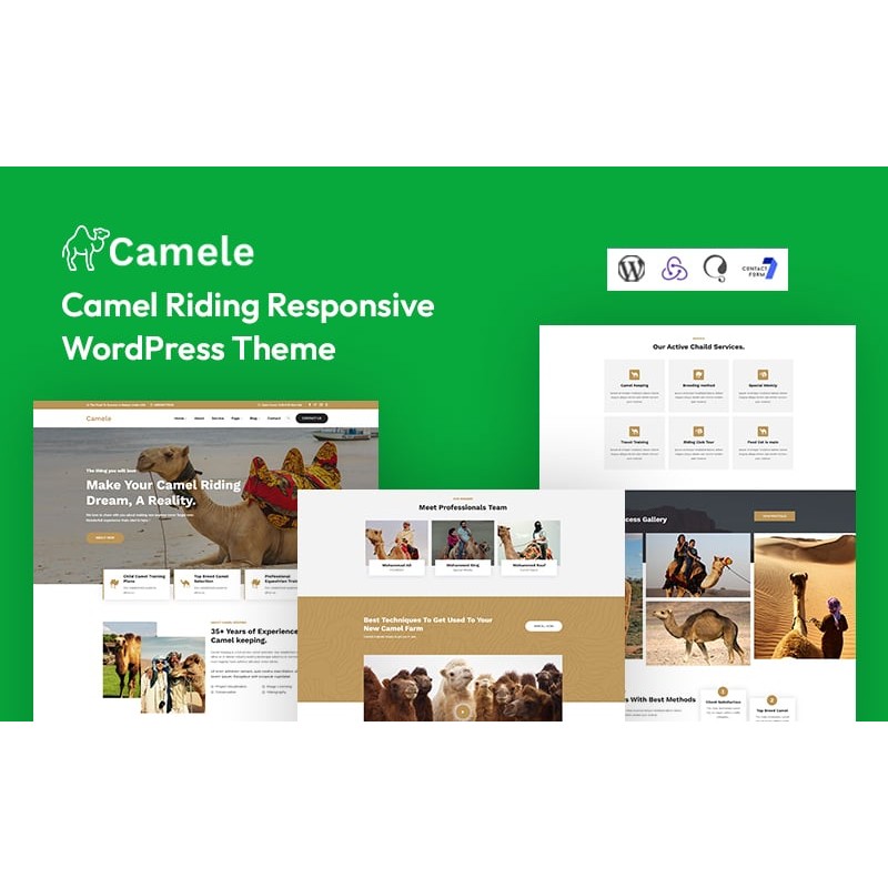 Camele - Camel Riding Responsive WordPress Theme