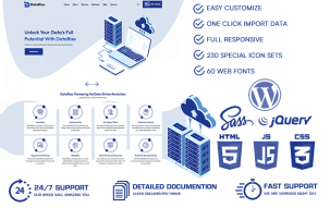 DataRise - SaaS WordPress Theme