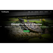 TishReptile - Reptile WordPress Theme