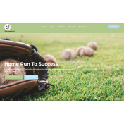 TishBaseball - Baseball WordPress Theme