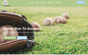 TishBaseball - Baseball WordPress Theme