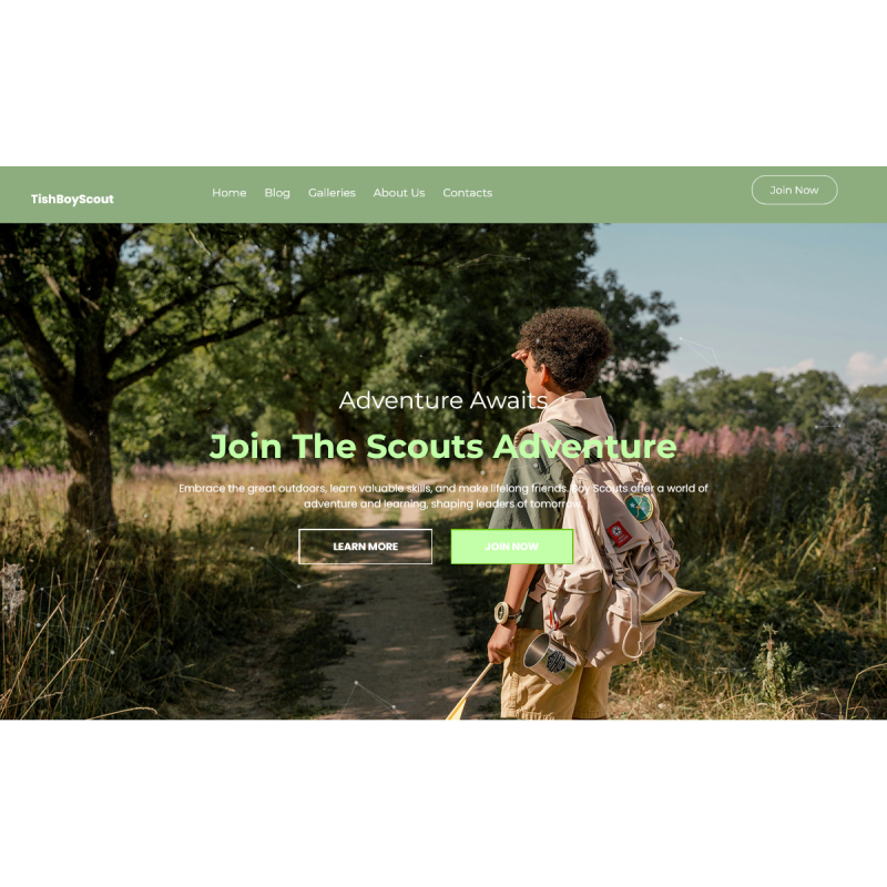 TishBoyScout - Boy Scout WordPress Theme