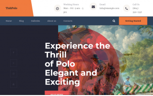 TishPolo - Polo WordPress Theme