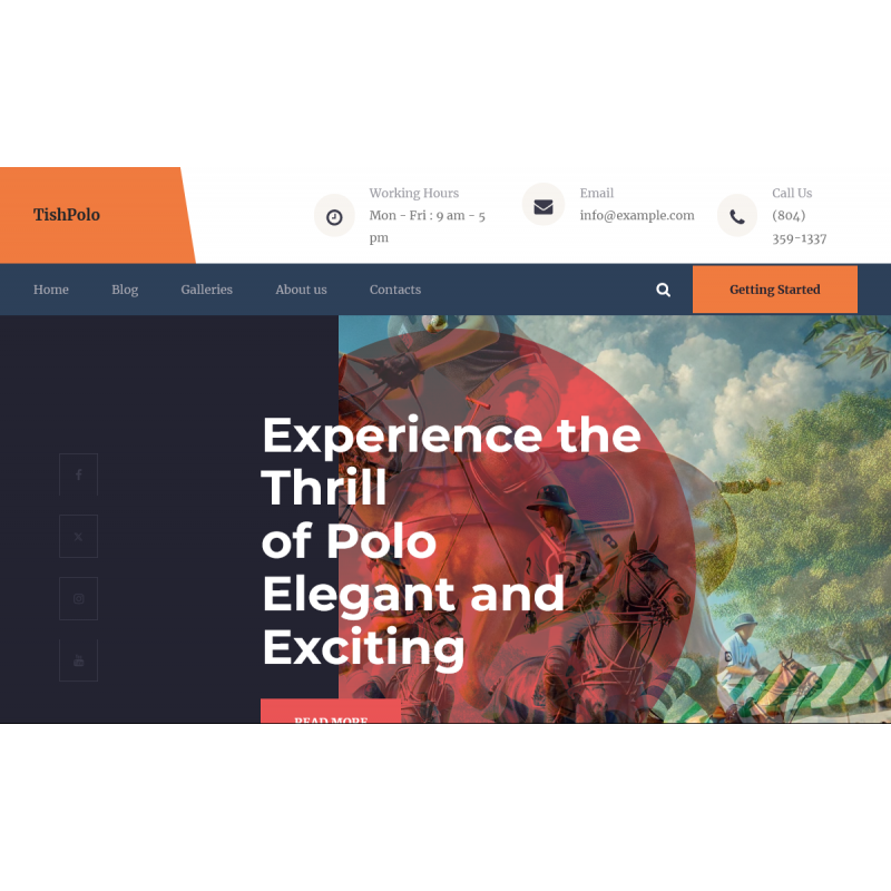 TishPolo - Polo WordPress Theme