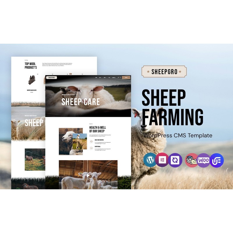 Sheepgro - Sheep Farming And Clothes WordPress Elementor Theme
