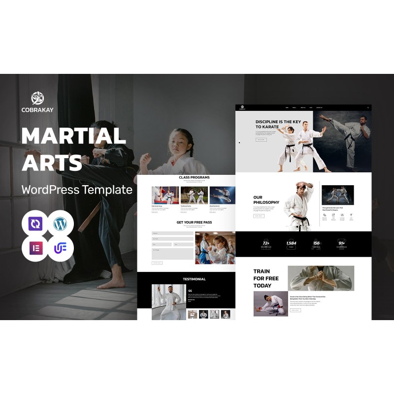 Cobra Kay - Martial Arts School And Training WordPress Elementor Theme