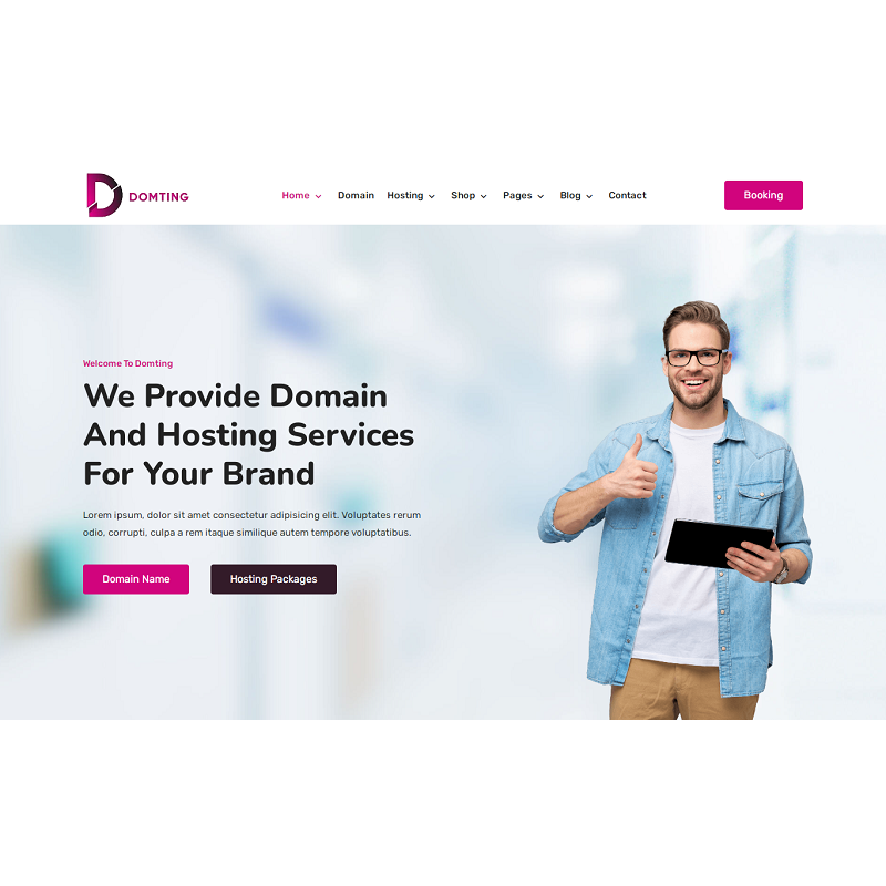Domting - Domain and Hosting Provider Company and Agency Elementor WordPress Theme