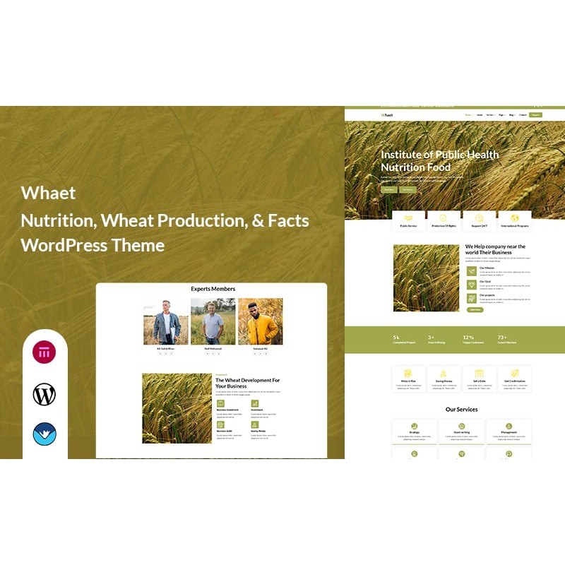 Whaet - Nutrition, Wheat Production, & Facts WordPress Theme
