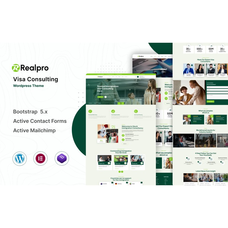 Realpro - Immigration and Visa Consulting WordPress Theme