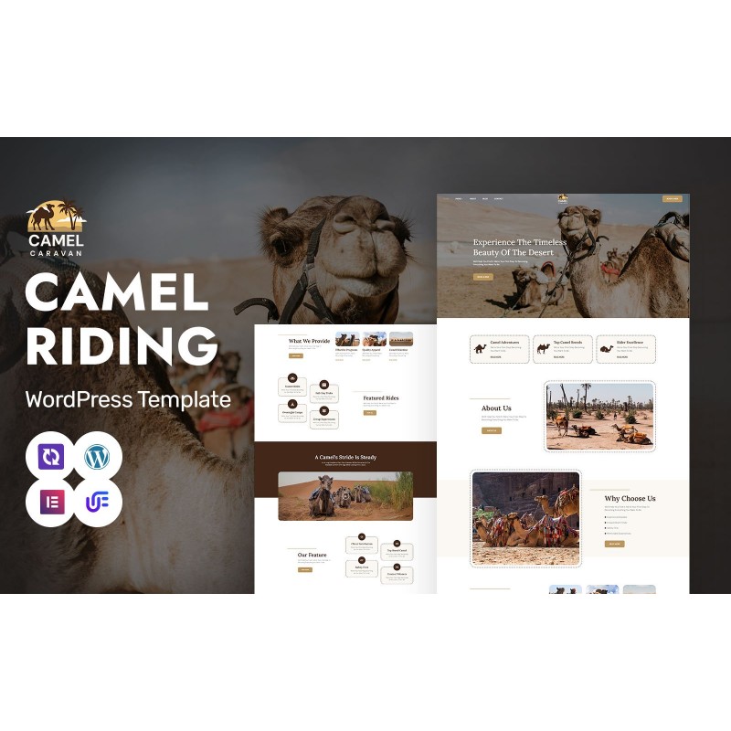 Camel Caravan - Camel Safari And Adventure Tours WordPress Elementor Theme