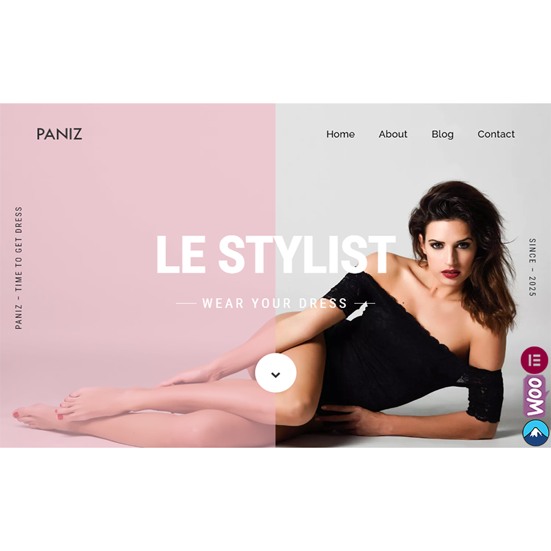 Paniz - Fashion and Apparel WordPress Elementor Theme