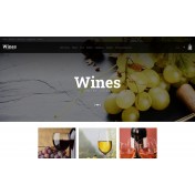 Wine Store Shop Template