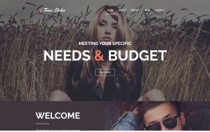 Tomi Solas WordPress Theme