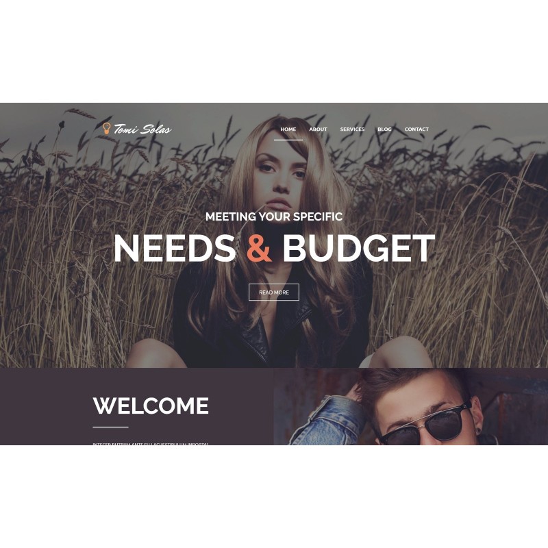 Tomi Solas WordPress Theme