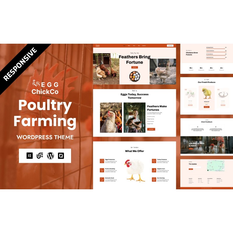 ChickCo - Ducks & Poultry Farms WordPress WooCommerce Elementor Theme