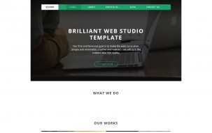 Logo WordPress Theme