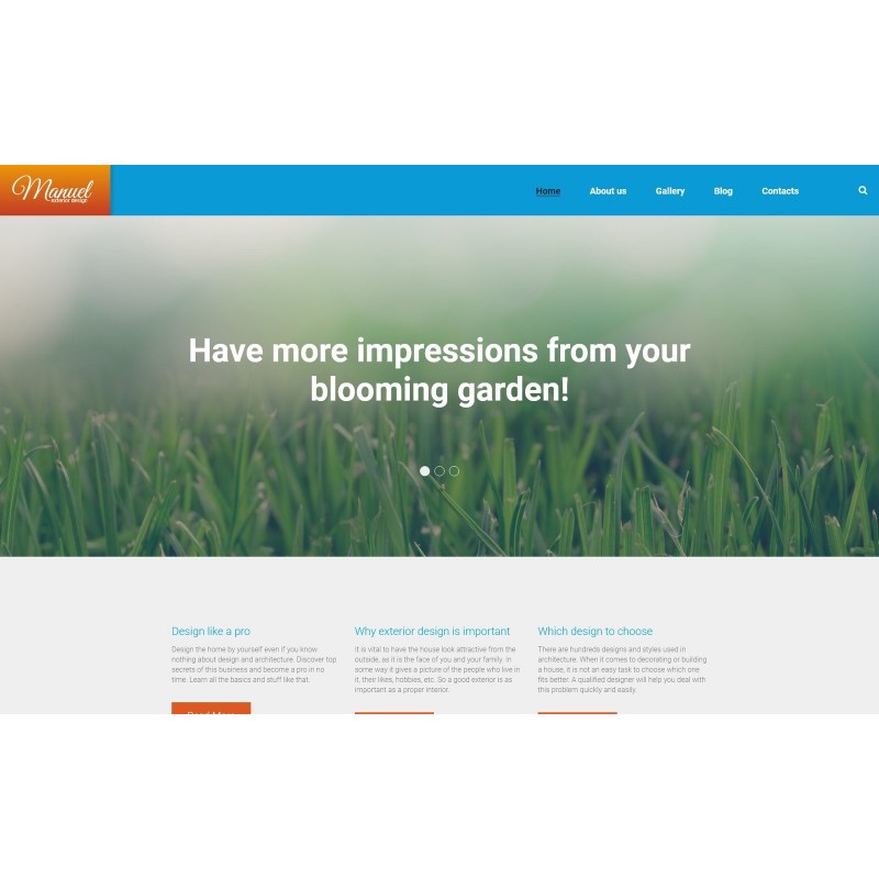 Manuel WordPress Theme