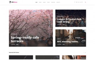 BitNews - Blog Magazine & News Portal WordPress Theme