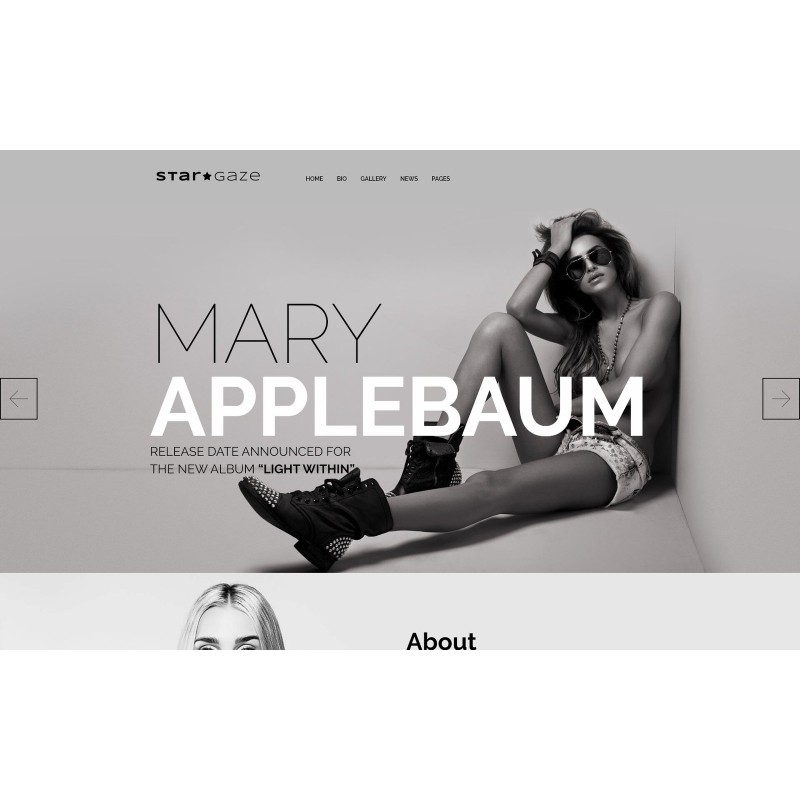 Stargaze - Media & Celebrity Responsive WordPress Theme
