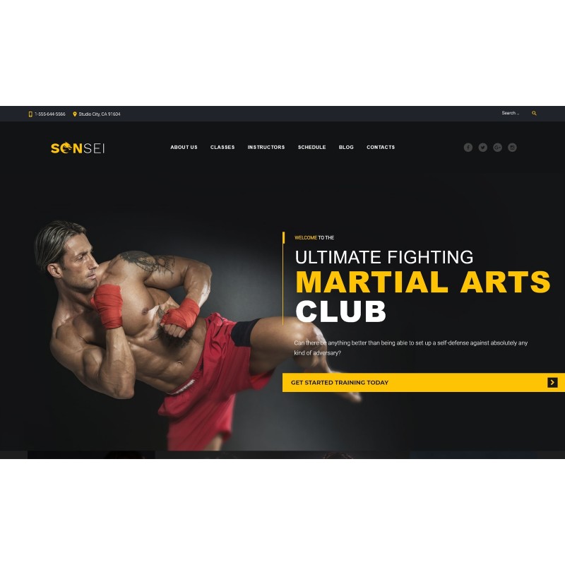 Sensei - Martial Arts WordPress Theme