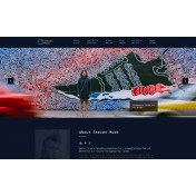 Steven Mosk - Modern artist personal portfolio WordPress Theme