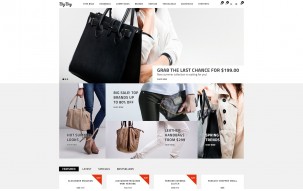 Big Bag - Handbag Store Shop Template