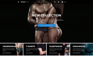 Underwear - Lingerie & Underwear Store Shop Template