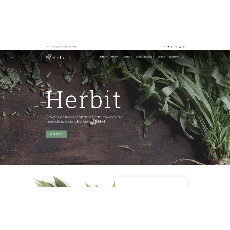 Herbit WordPress Theme