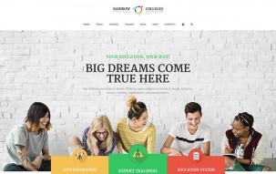 Rainbow Colleges - E-Course WordPress Theme
