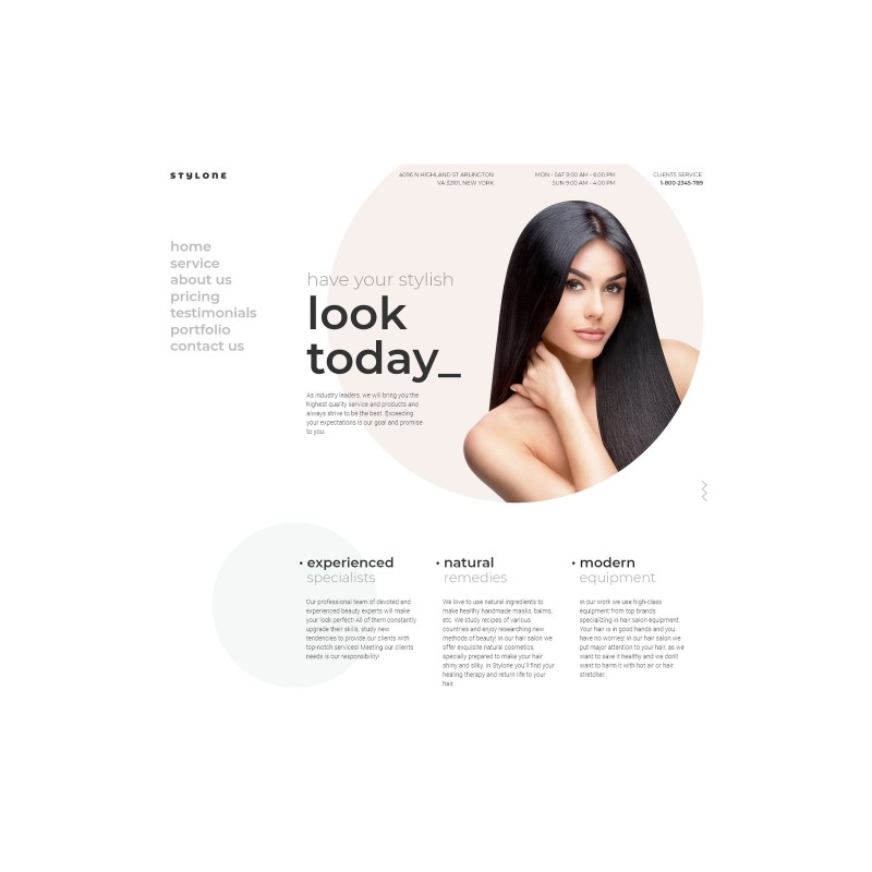 Stylone - Beauty Hair Salon WordPress Elementor Theme