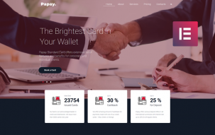 Papay - Bank Services Multi-Concept Classic WordPress Elementor Theme