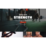 Barbellox - Gym Multipurpose Modern WordPress Elementor Theme