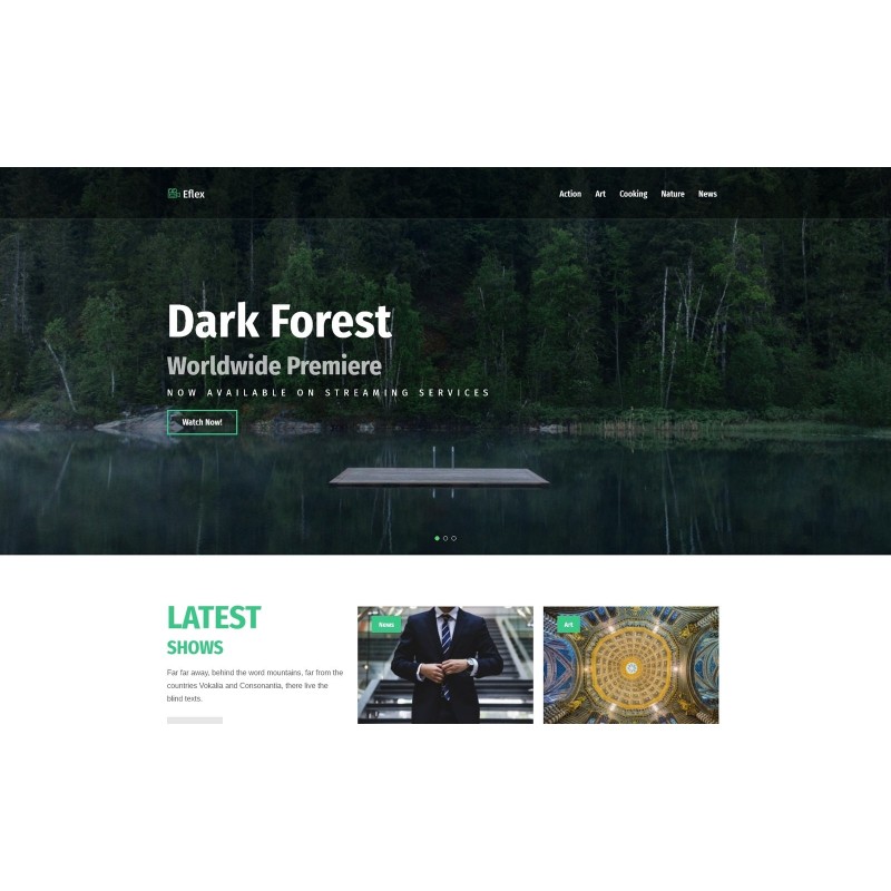 Eflex - Video Blog Multipurpose Classic WordPress Elementor Theme