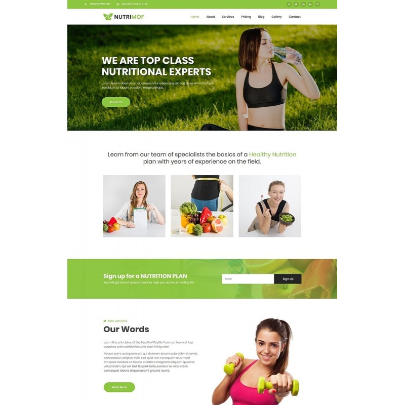 Nutrimof - Nutritional & Health WordPress Theme